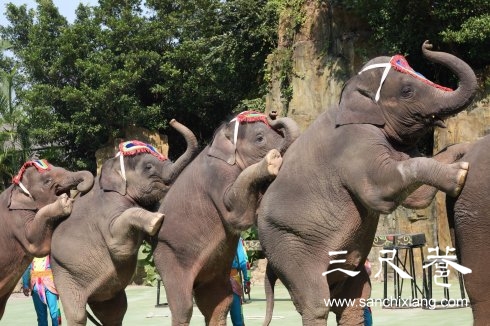 點擊查看源網頁