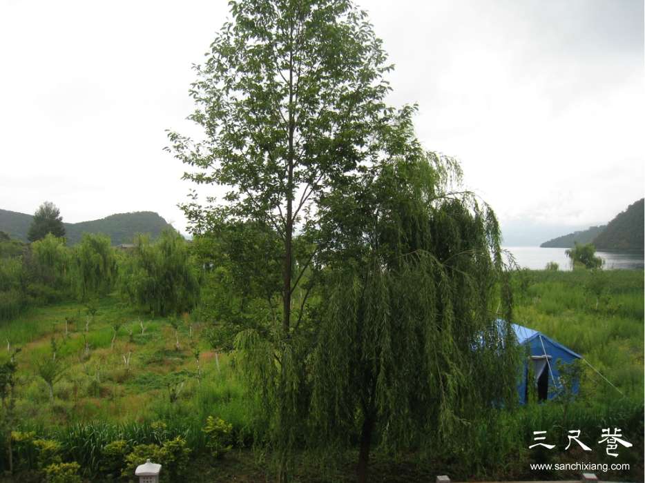 點(diǎn)擊查看源網(wǎng)頁