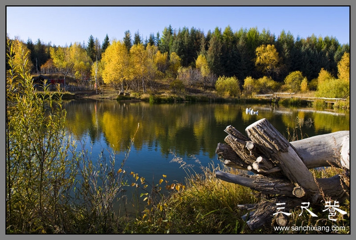 點擊查看源網(wǎng)頁