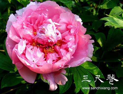 點(diǎn)擊查看源網(wǎng)頁